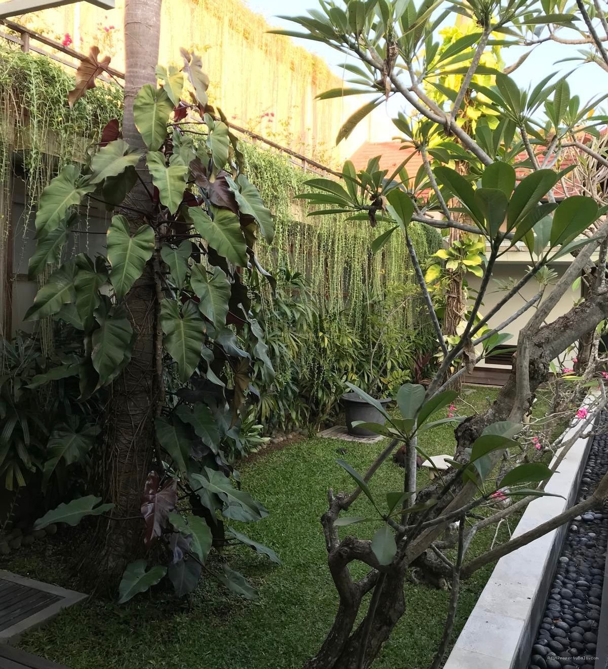 Rumah teras ayung denpasar timur