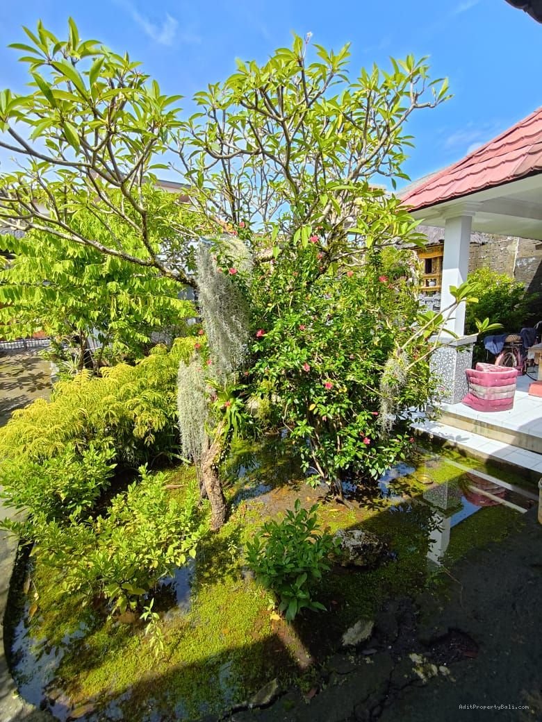 Tanah Bidadari Seminyak Badung