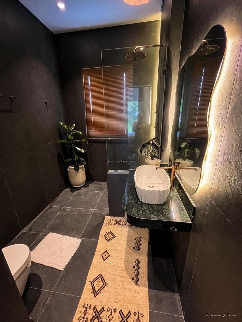 Brand New Villa Rice Field View Singakerta Ubud Gianyar