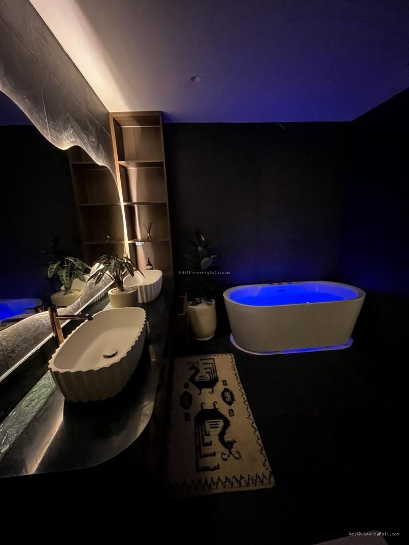 Brand New Villa Rice Field View Singakerta Ubud Gianyar