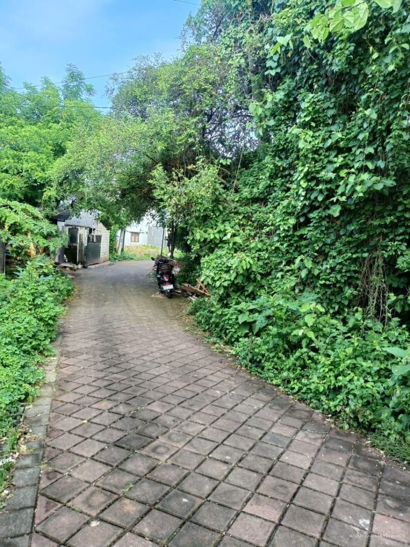 Tanah bukit damai jimbaran