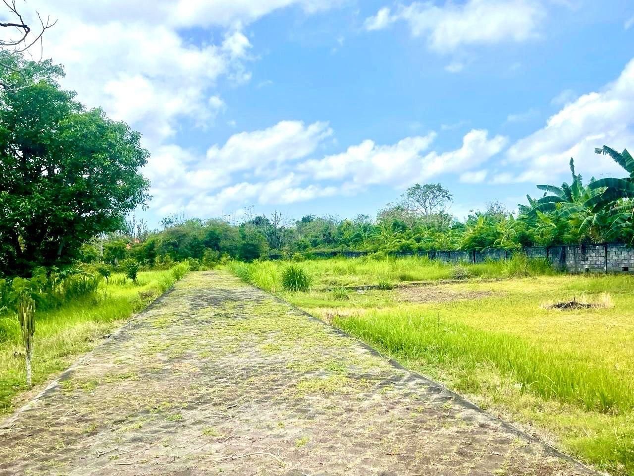 Tanah pantai balangan pecatu