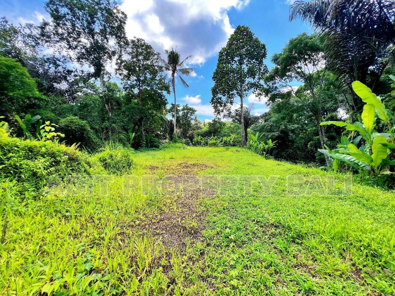 Tanah jungle payangan ubud