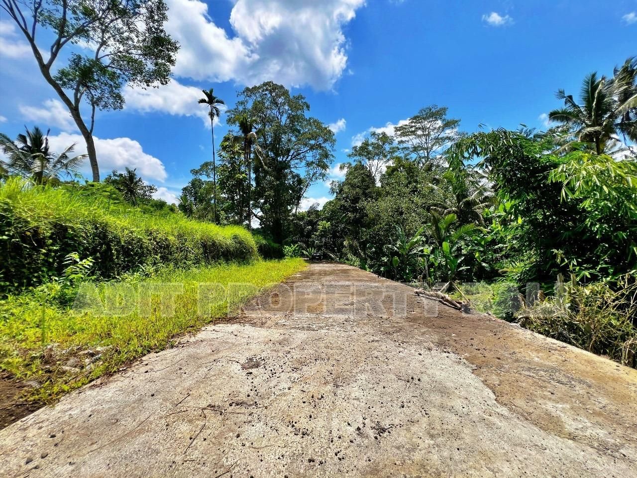 Tanah jungle payangan ubud