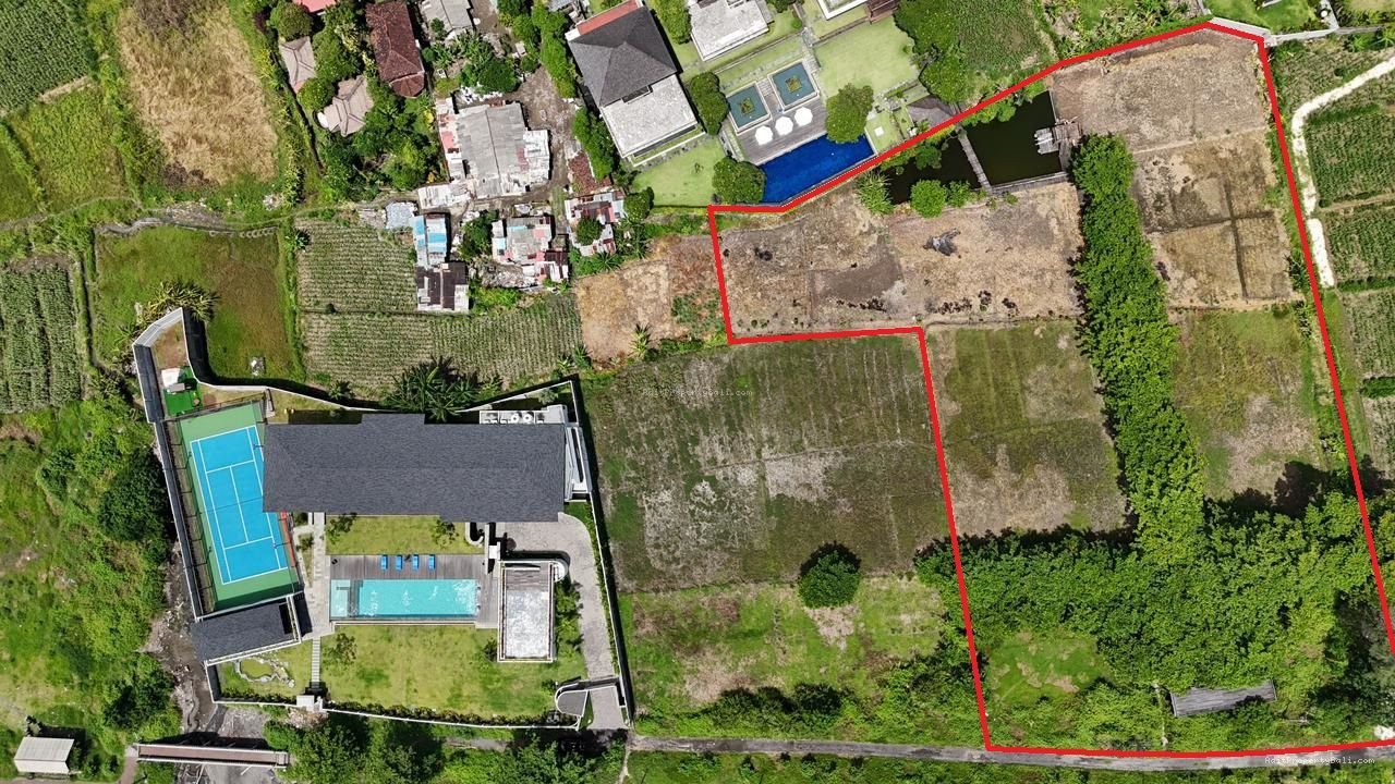 Tanah lost pantai padang galak sanur