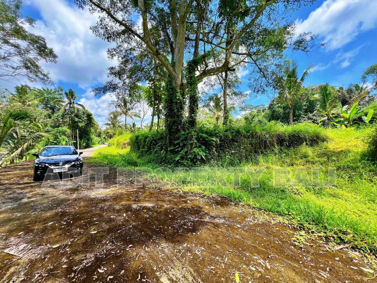 Tanah View Jungle & Sungai Payangan Ubud Gianyar