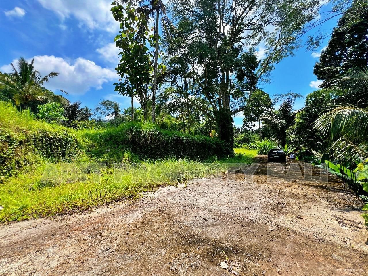 Tanah View Jungle & Sungai Payangan Ubud Gianyar