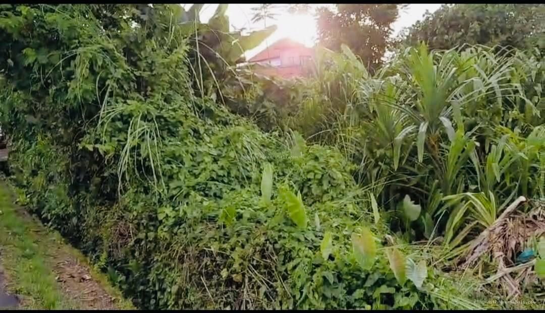 Tanah Los Sungai Raya Tumbak Bayuh Pererenan Badung