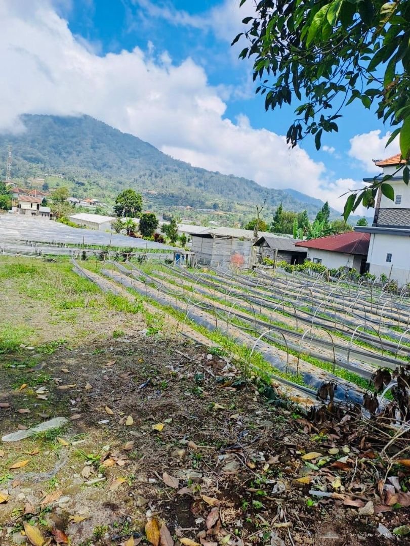 Tanah bedugul tabanan