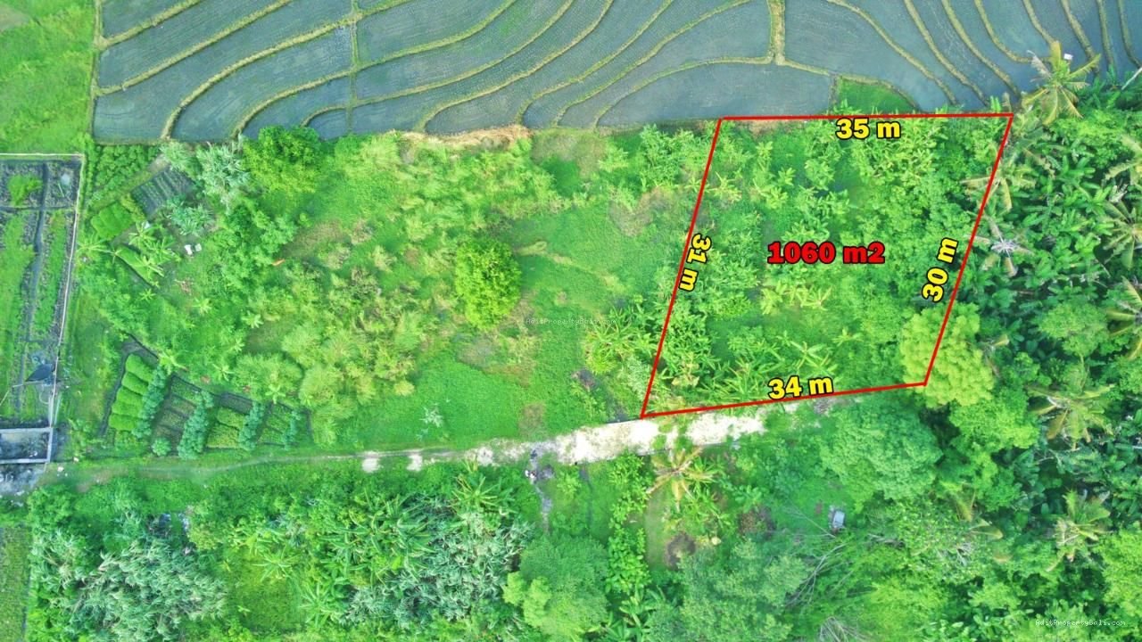 Tanah View Sawah Pantai Nyanyi Kediri Tabanan