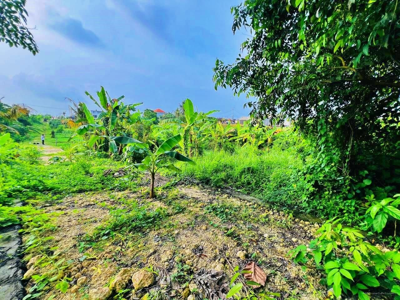 Tanah View Sawah Pantai Nyanyi Kediri Tabanan