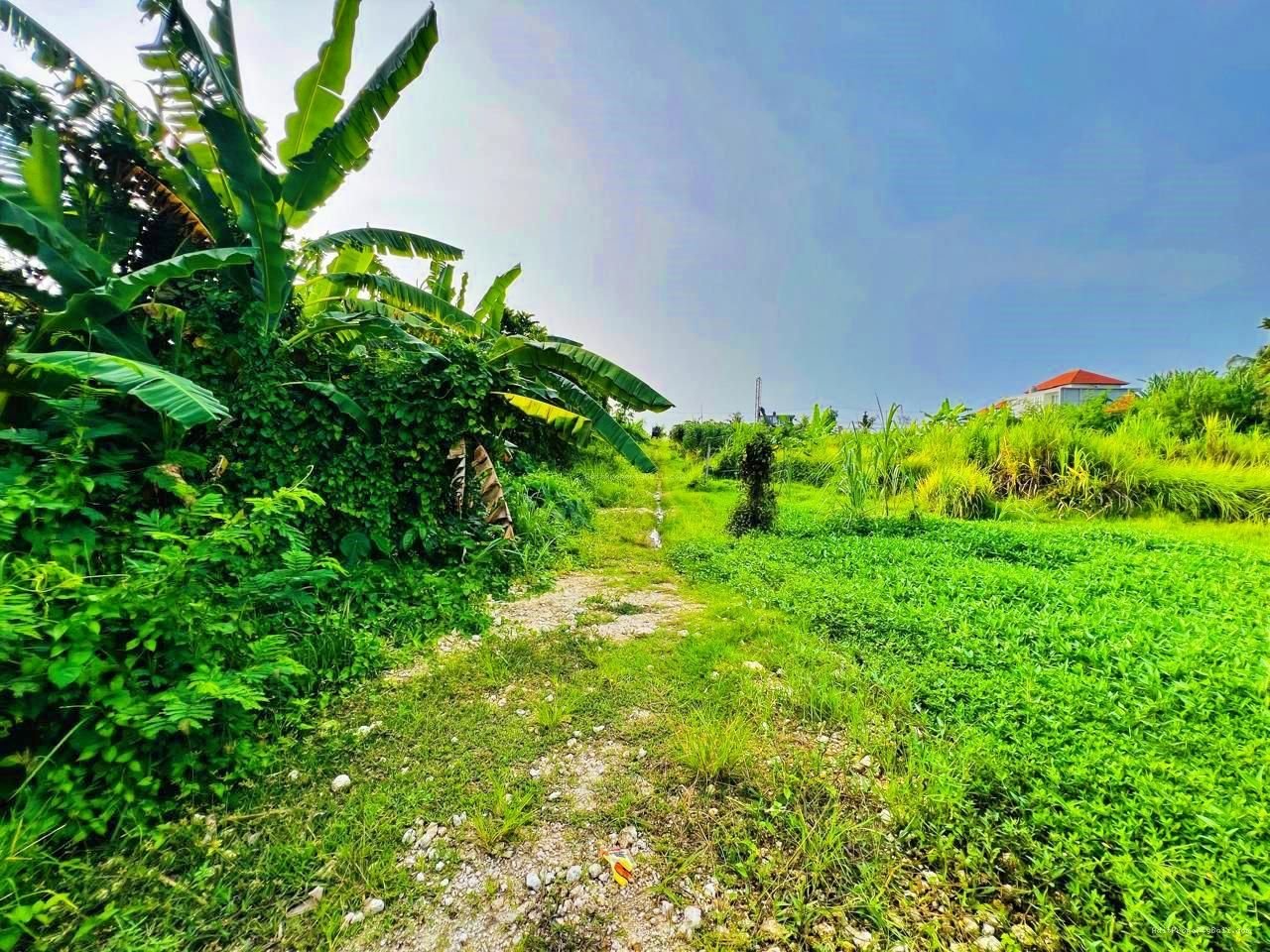Tanah View Sawah Pantai Nyanyi Kediri Tabanan