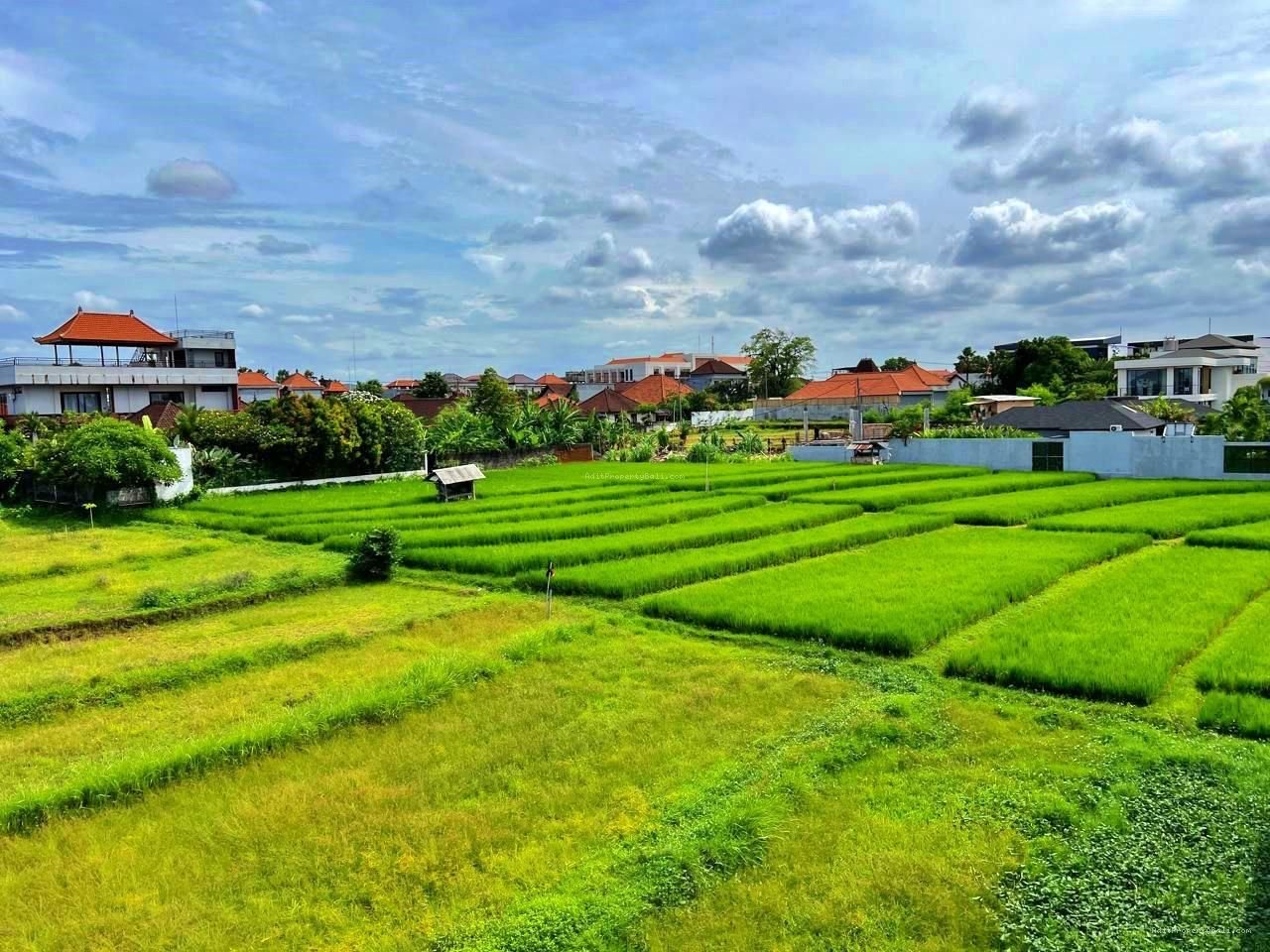 Brand New Villa View Sawah Bumbak Kerobokan Badung