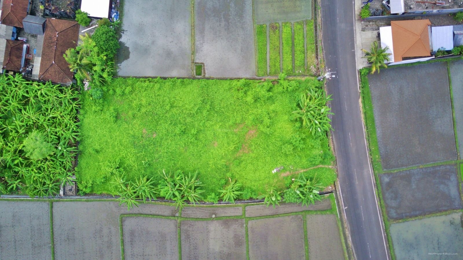 Tanah Premium Kebo Iwa Kediri Tabanan