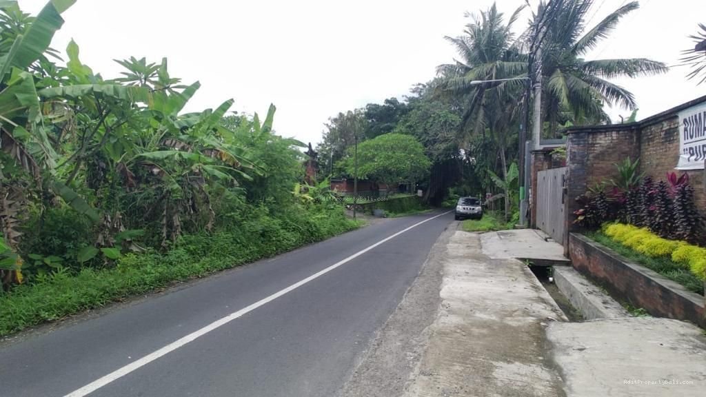 Tanah kedungu tabanan