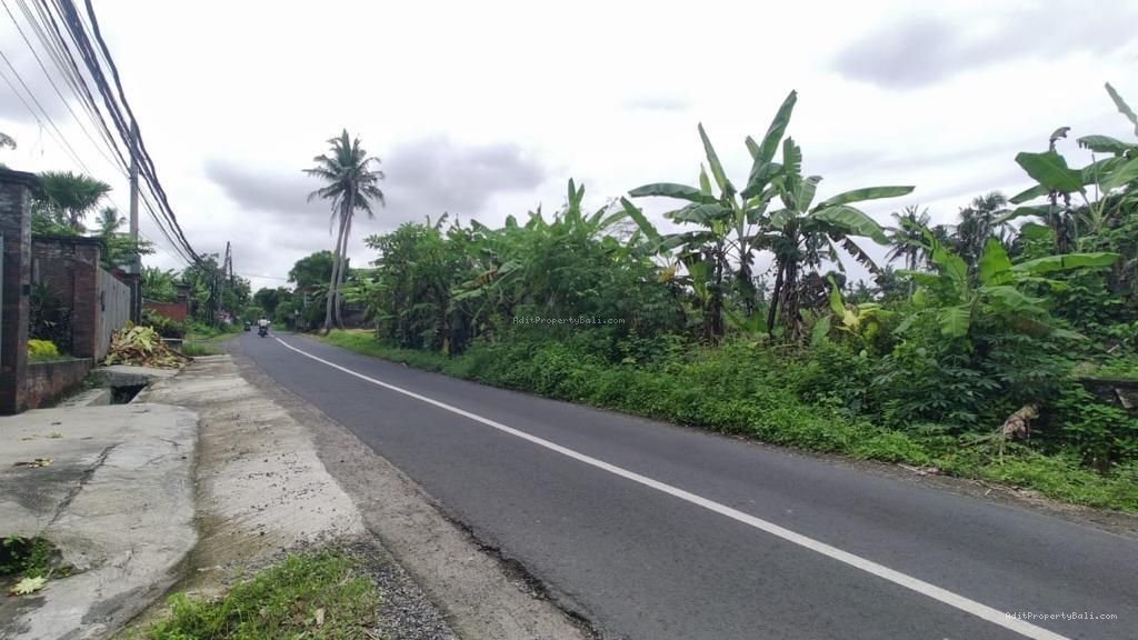 Tanah kedungu tabanan