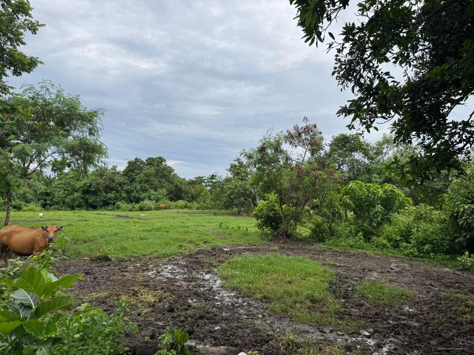 Tanah pantai nyanyi tabanan