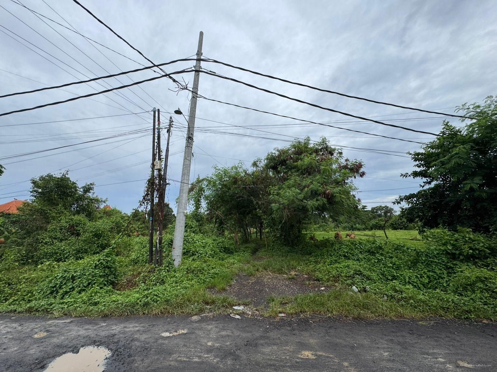 Tanah pantai nyanyi tabanan