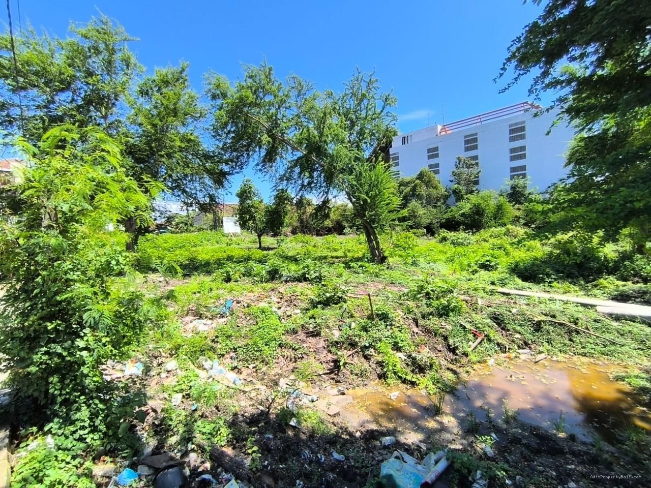 Tanah drupadi seminyak bali