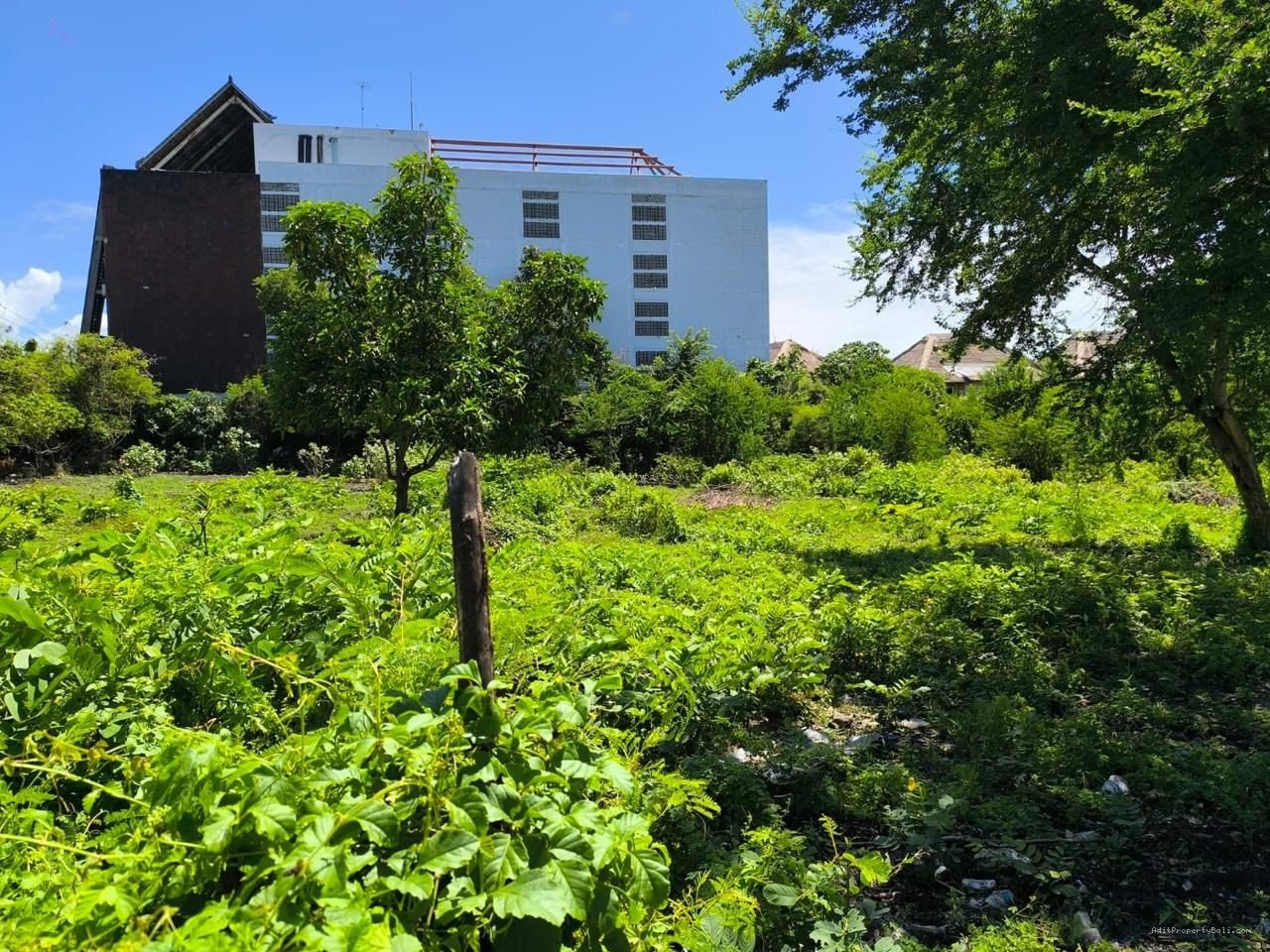 Tanah drupadi seminyak bali