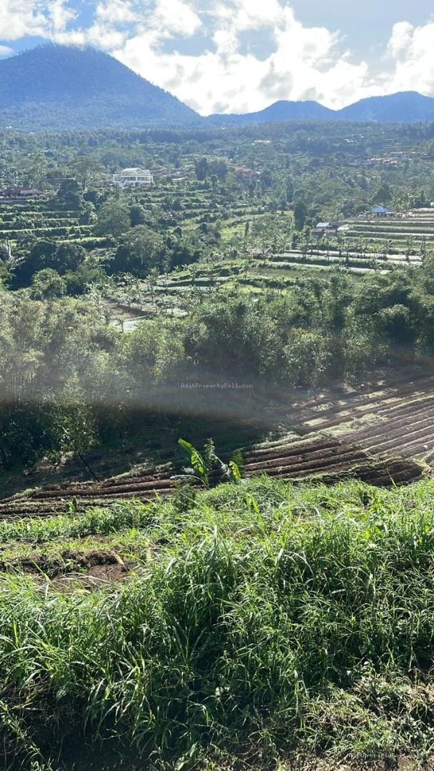 Tanah View bukit baturiti tabanan