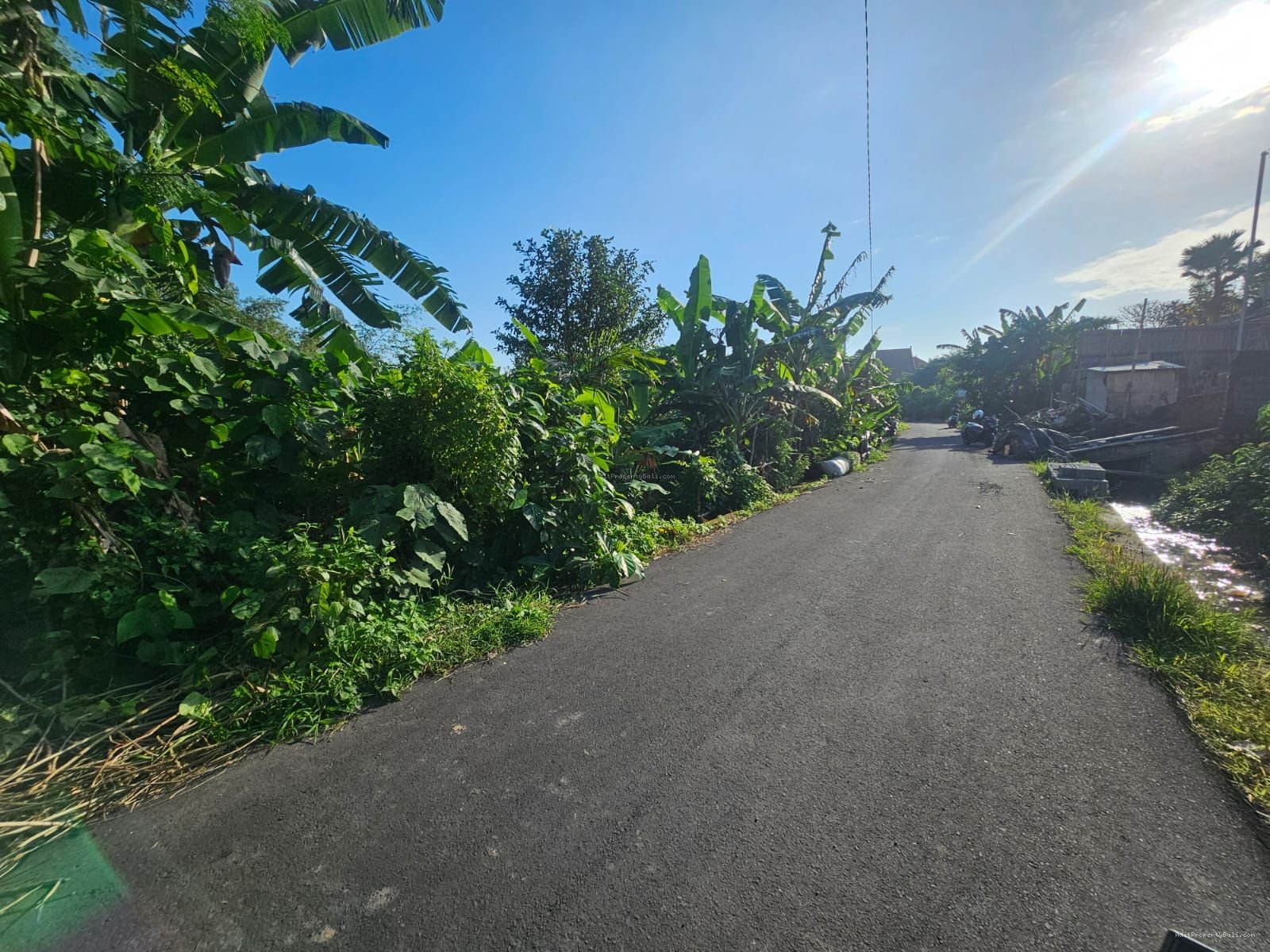 Tanah Jantuk angsa pererenan canggu