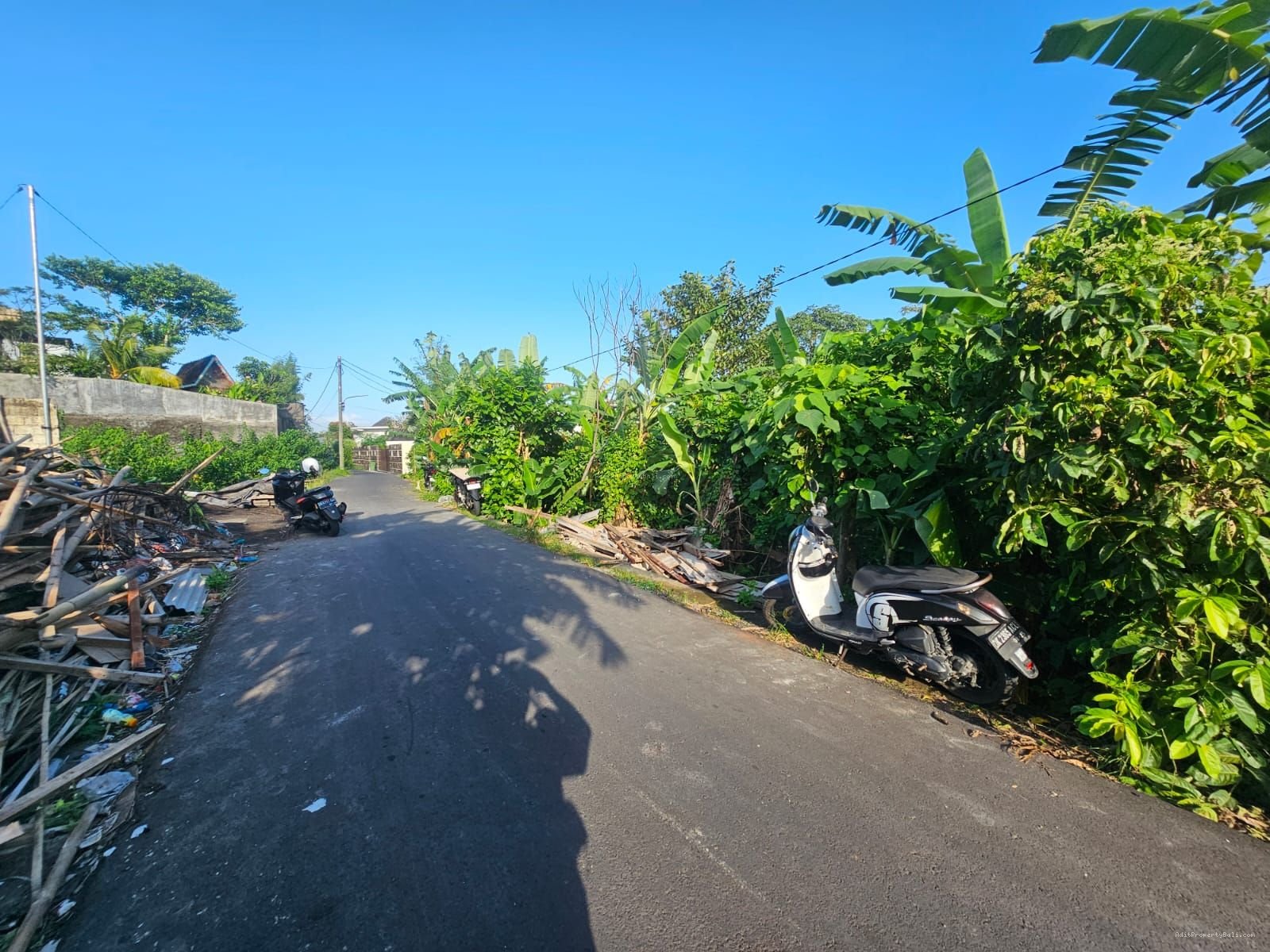 Tanah Jantuk angsa pererenan canggu