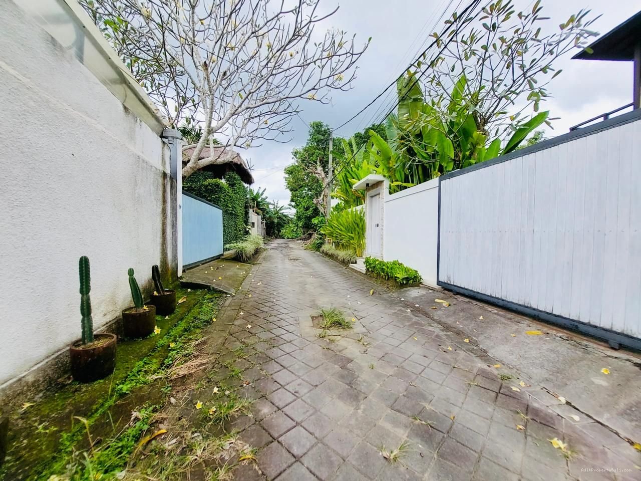 Tanah langka tumbak bayuh mengwi