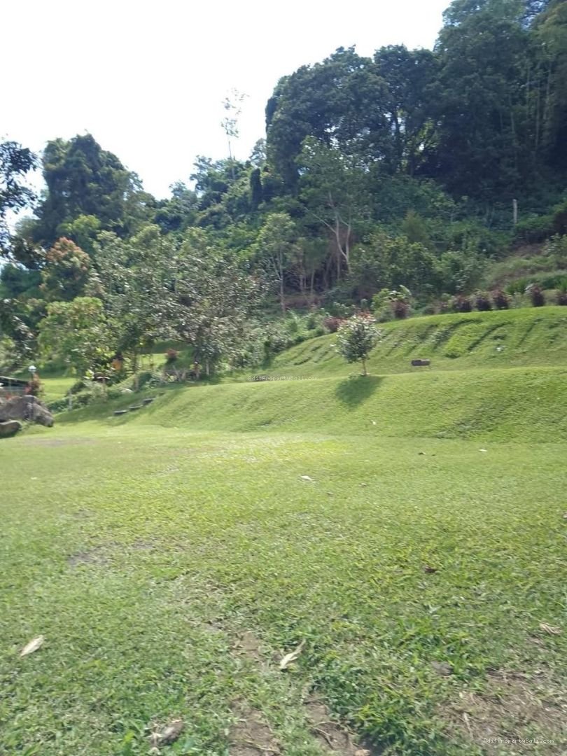Tanah Full view Danau buyan bedugul