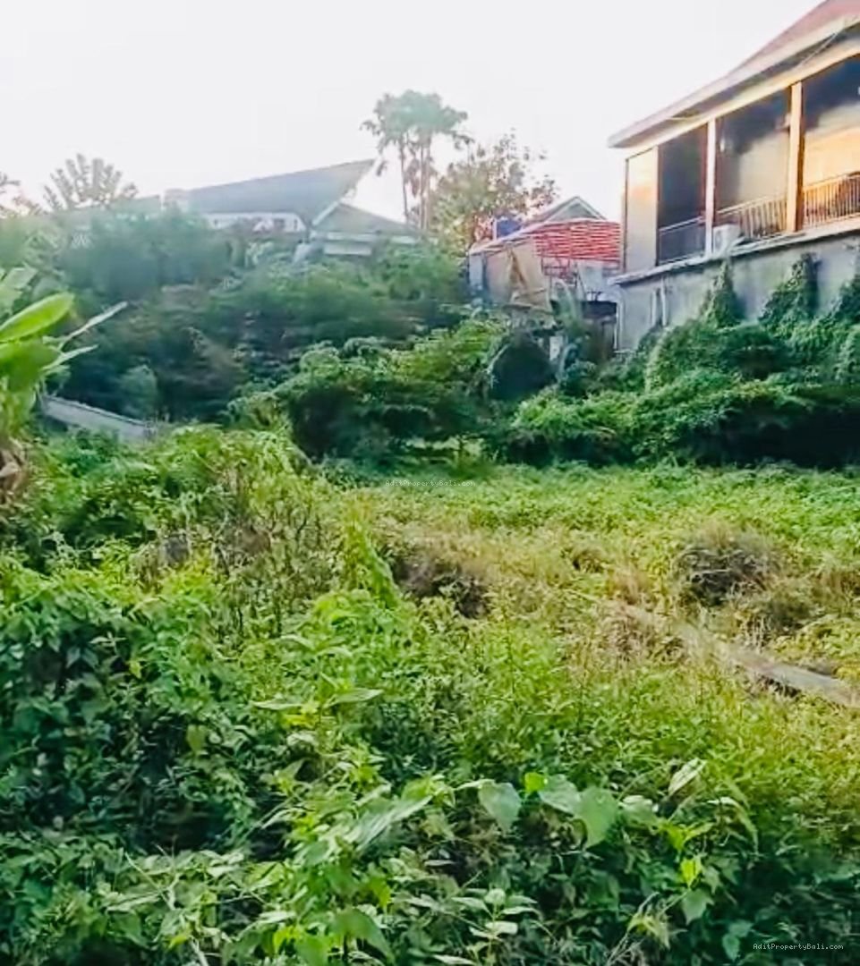 Tanah Raya pantai batubolong canggu