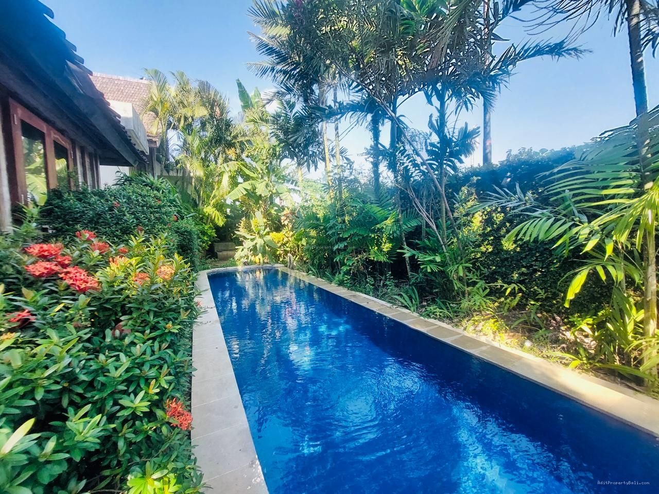 Tanah berawa canggu bali