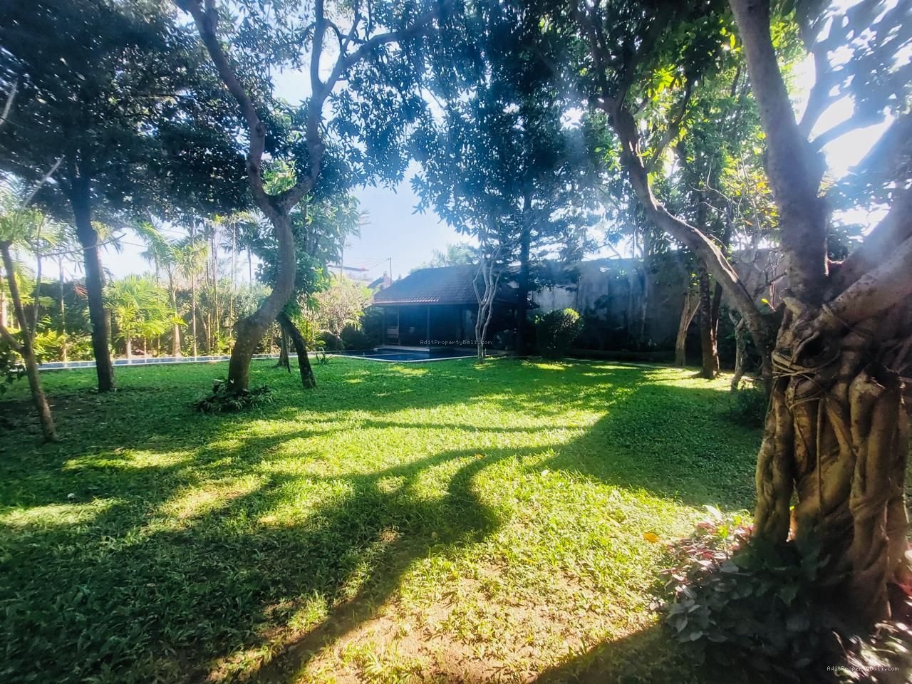 Tanah berawa canggu bali