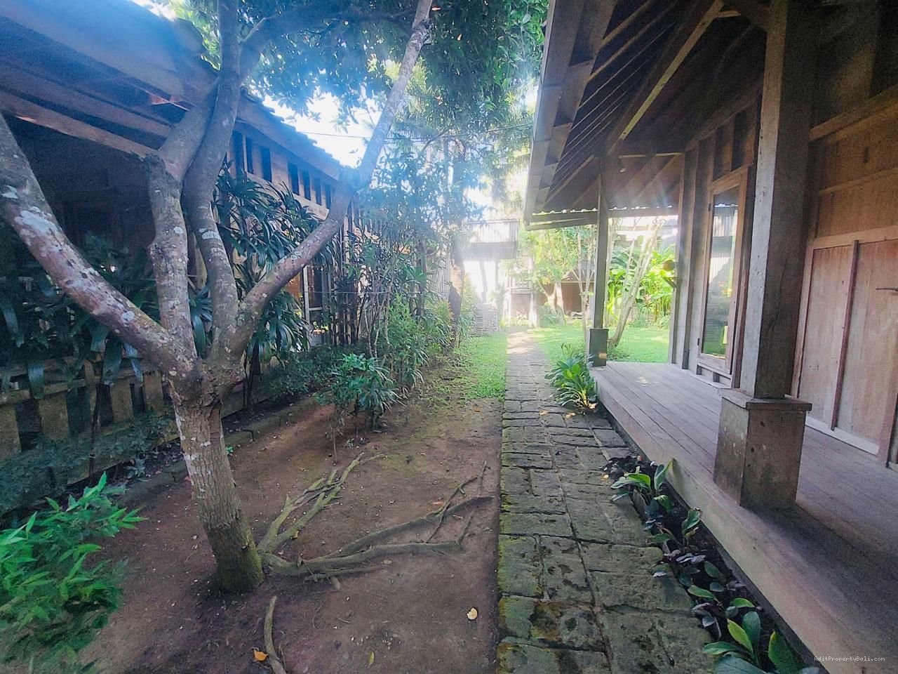 Tanah berawa canggu bali