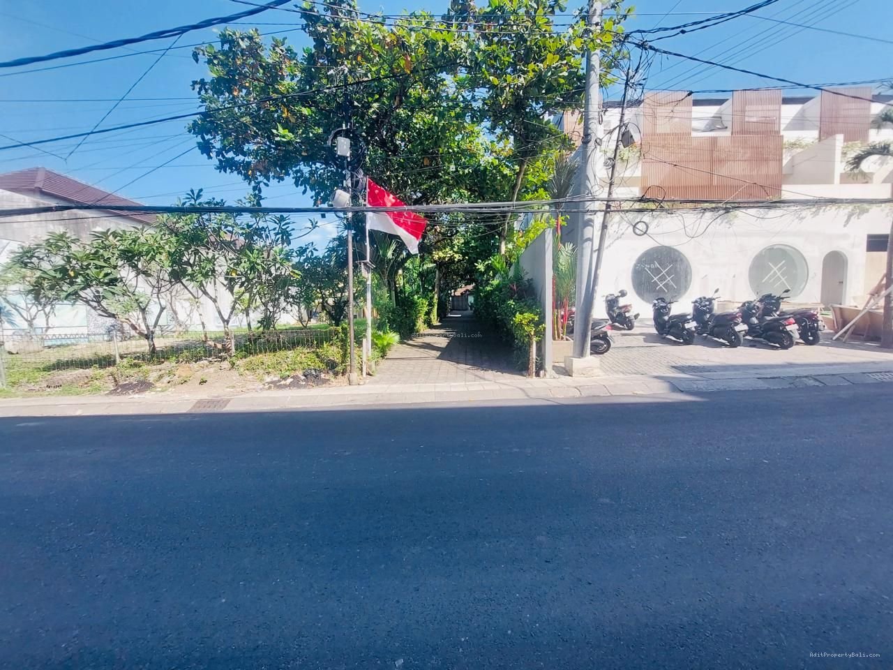 Tanah berawa canggu bali