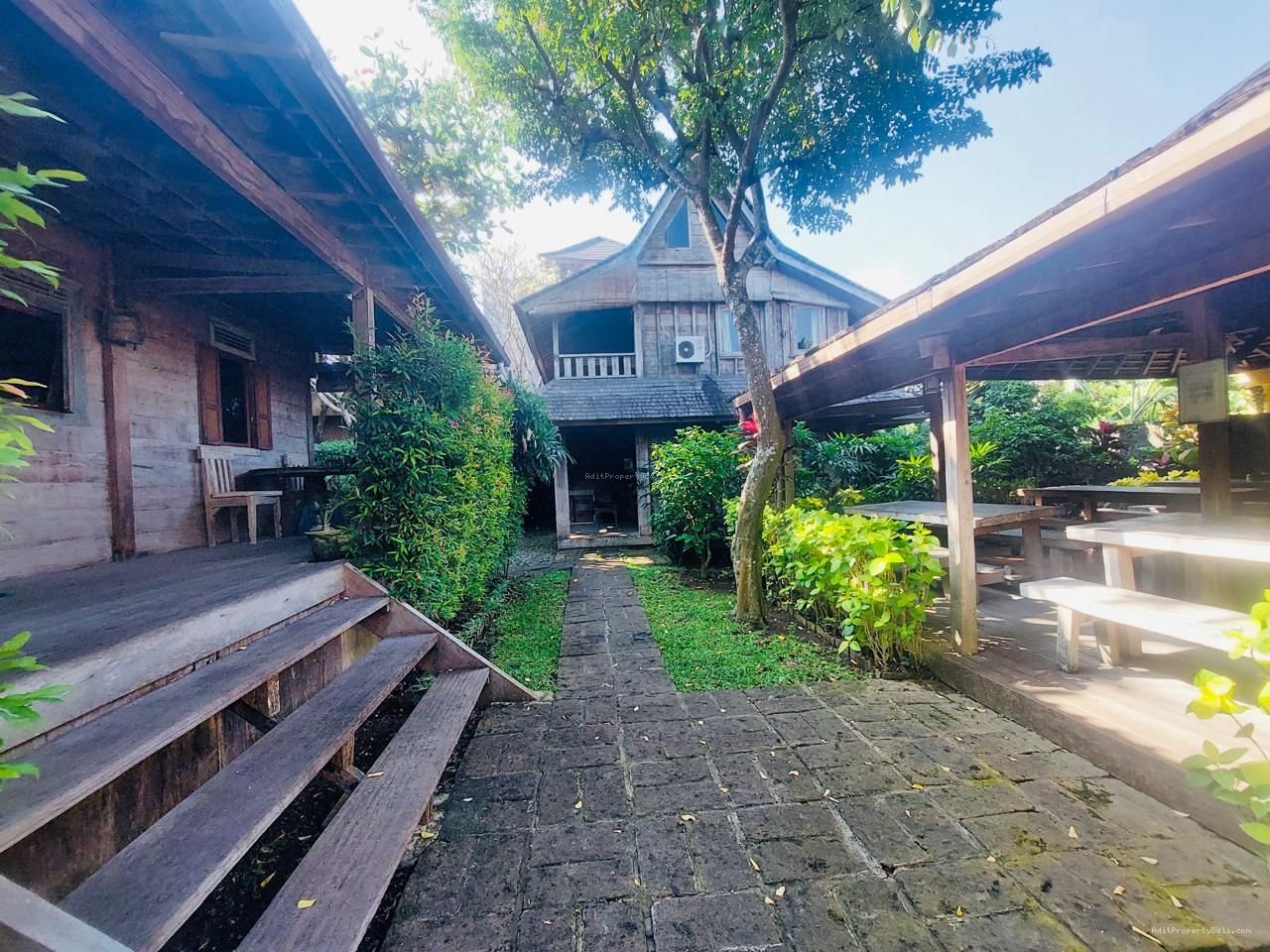 Tanah berawa canggu bali