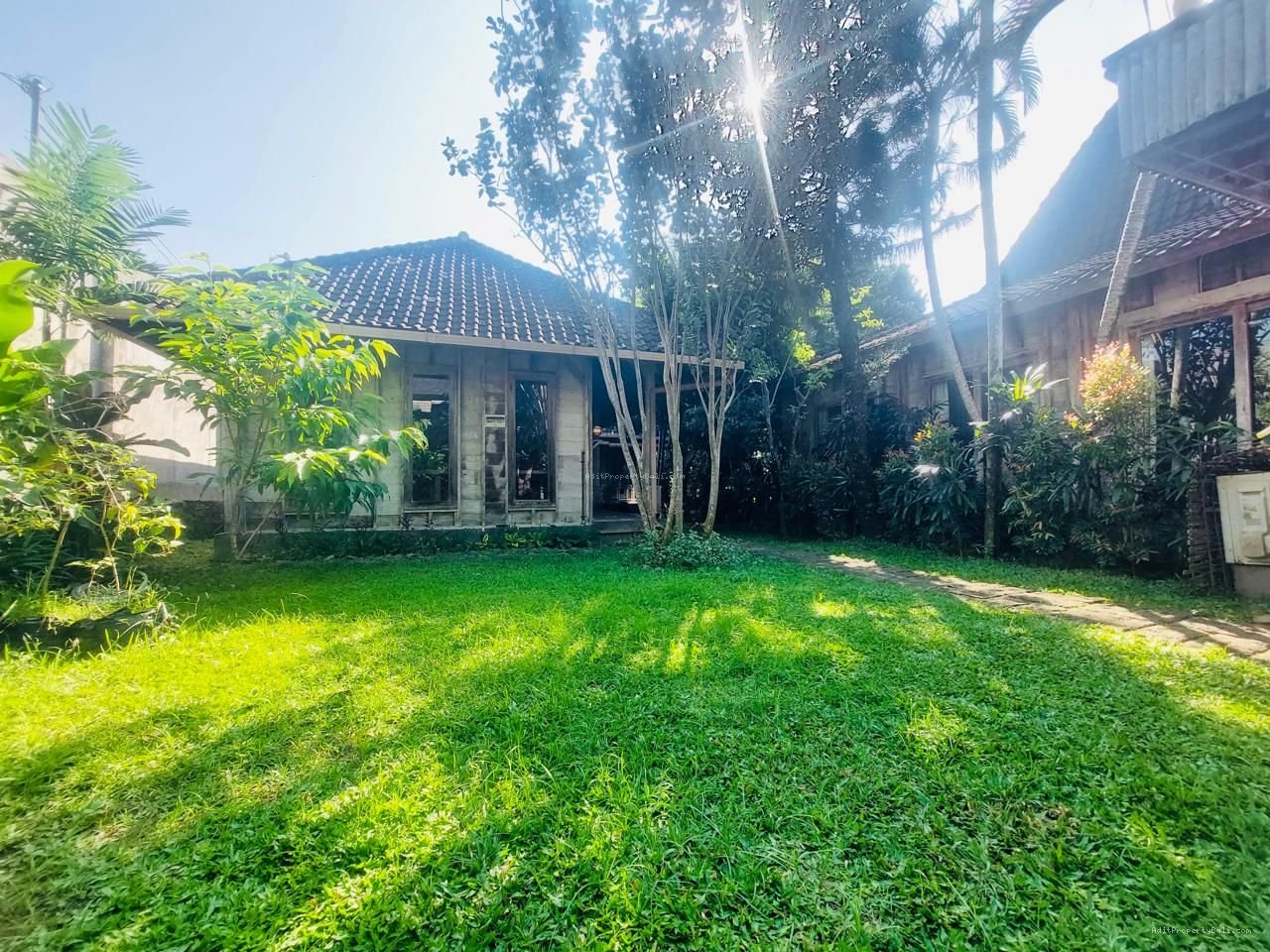 Tanah berawa canggu bali