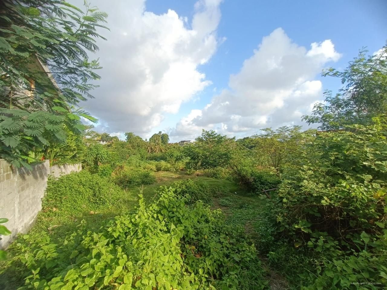 Tanah Pererenan Canggu Badung