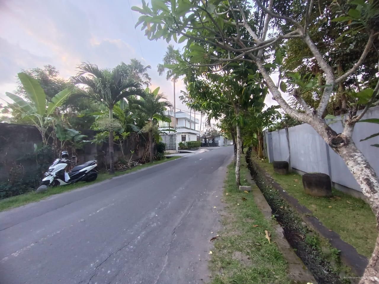 Tanah Kayu Tulang Utara Canggu Badung