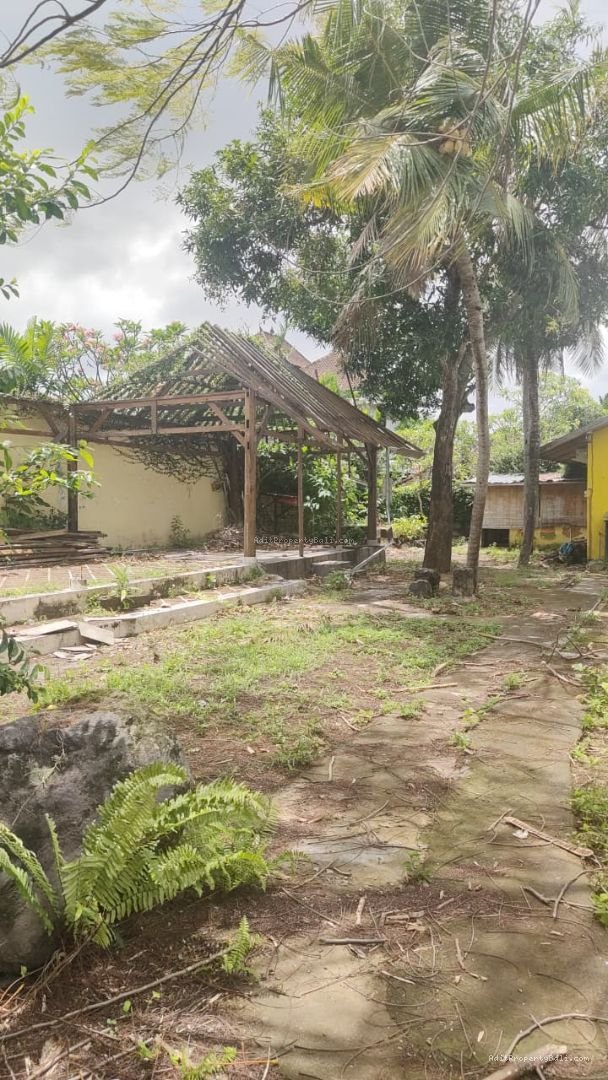 Tanah Langka Raya Pantai Berawa Canggu Badung