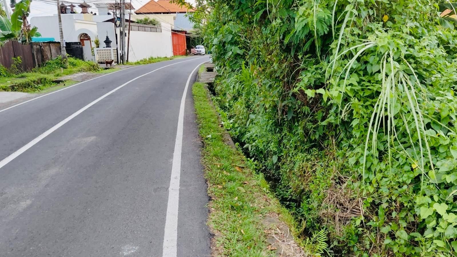 Tanah raya tumbak bayuh mengwi