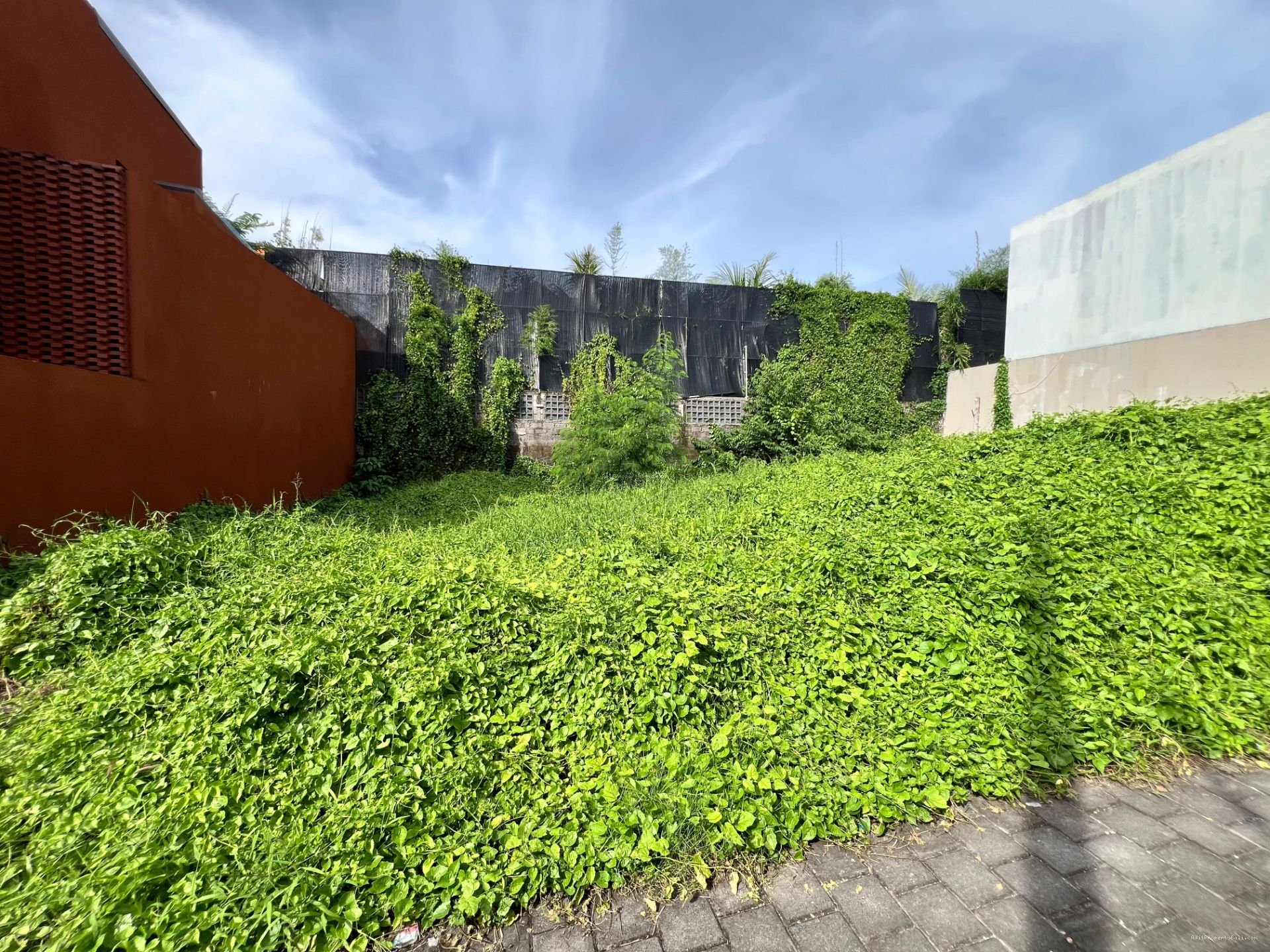 Tanah jantuk angsa pererenan