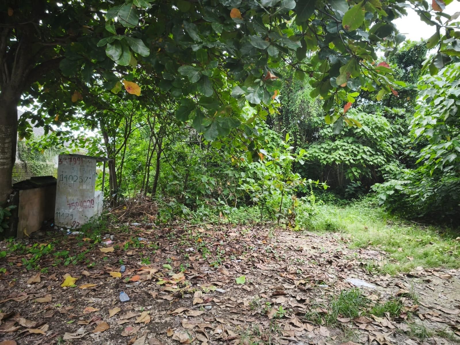 Tanah premium seminyak bali