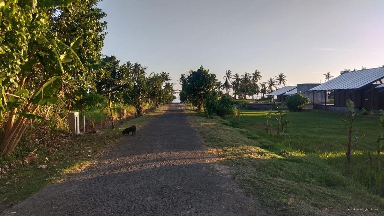 Tanah beach front Pantai kedungu tabanan