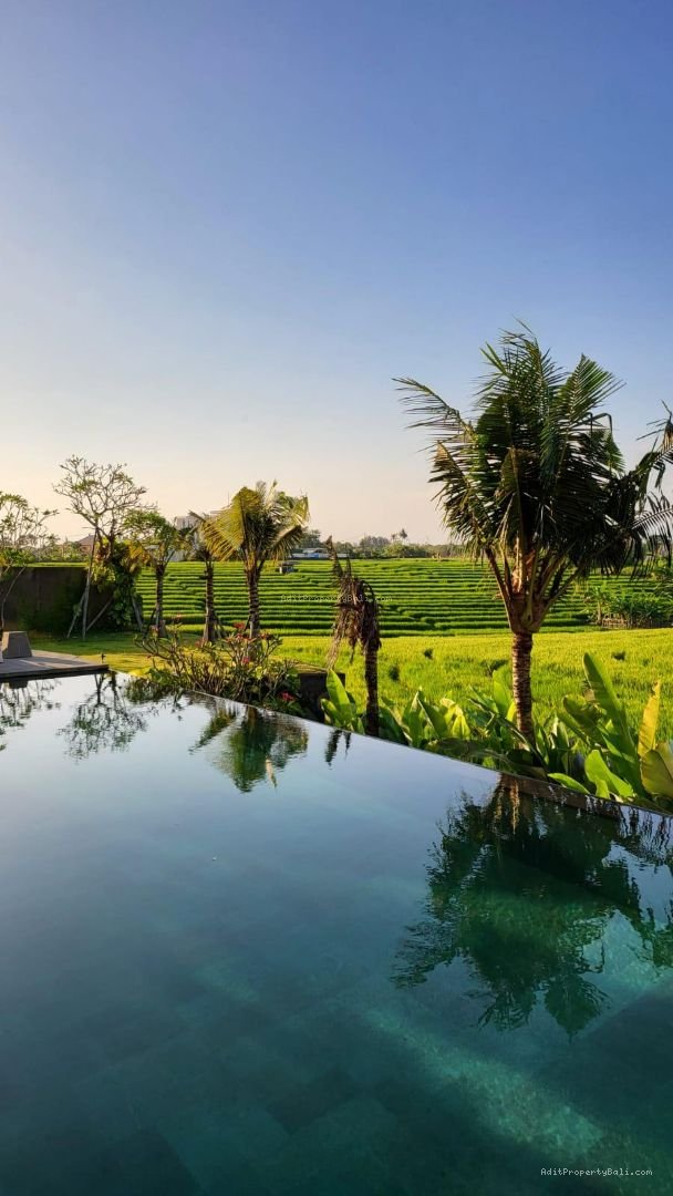 Villa Rice field view cemagi