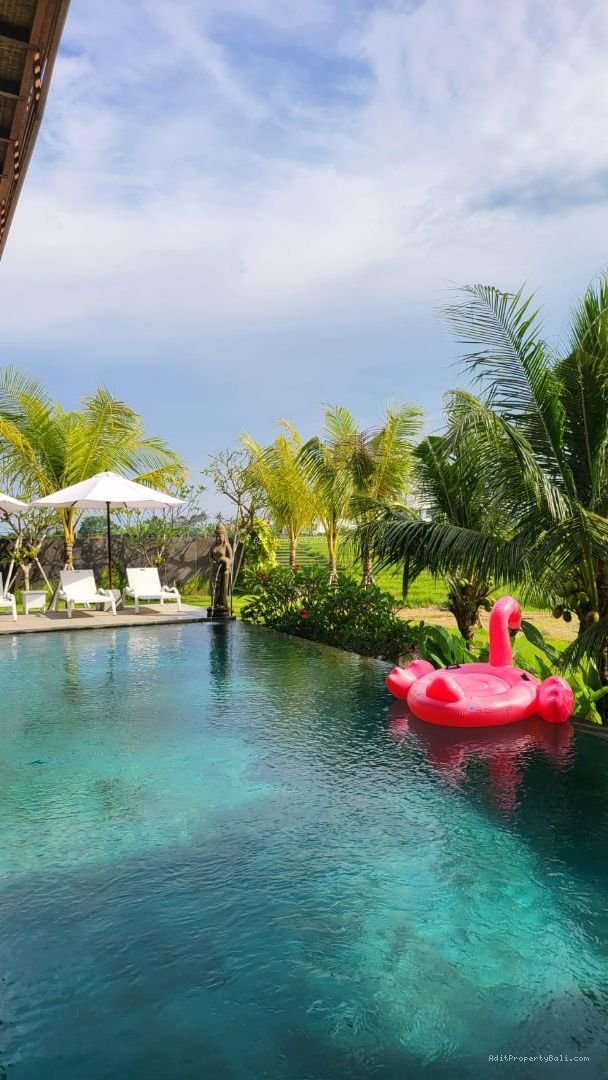 Villa Rice field view cemagi