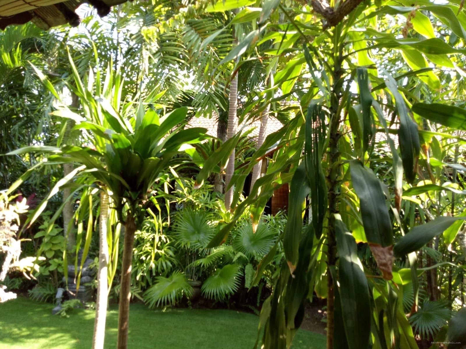 Villa Danau Poso Sanur Kauh Denpasar