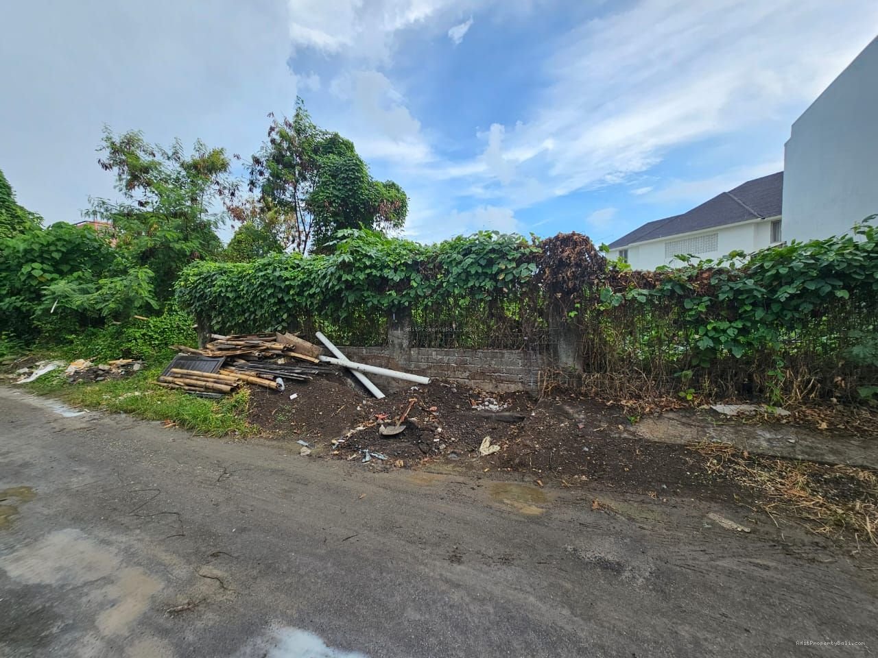 Tanah murah semat berawa canggu