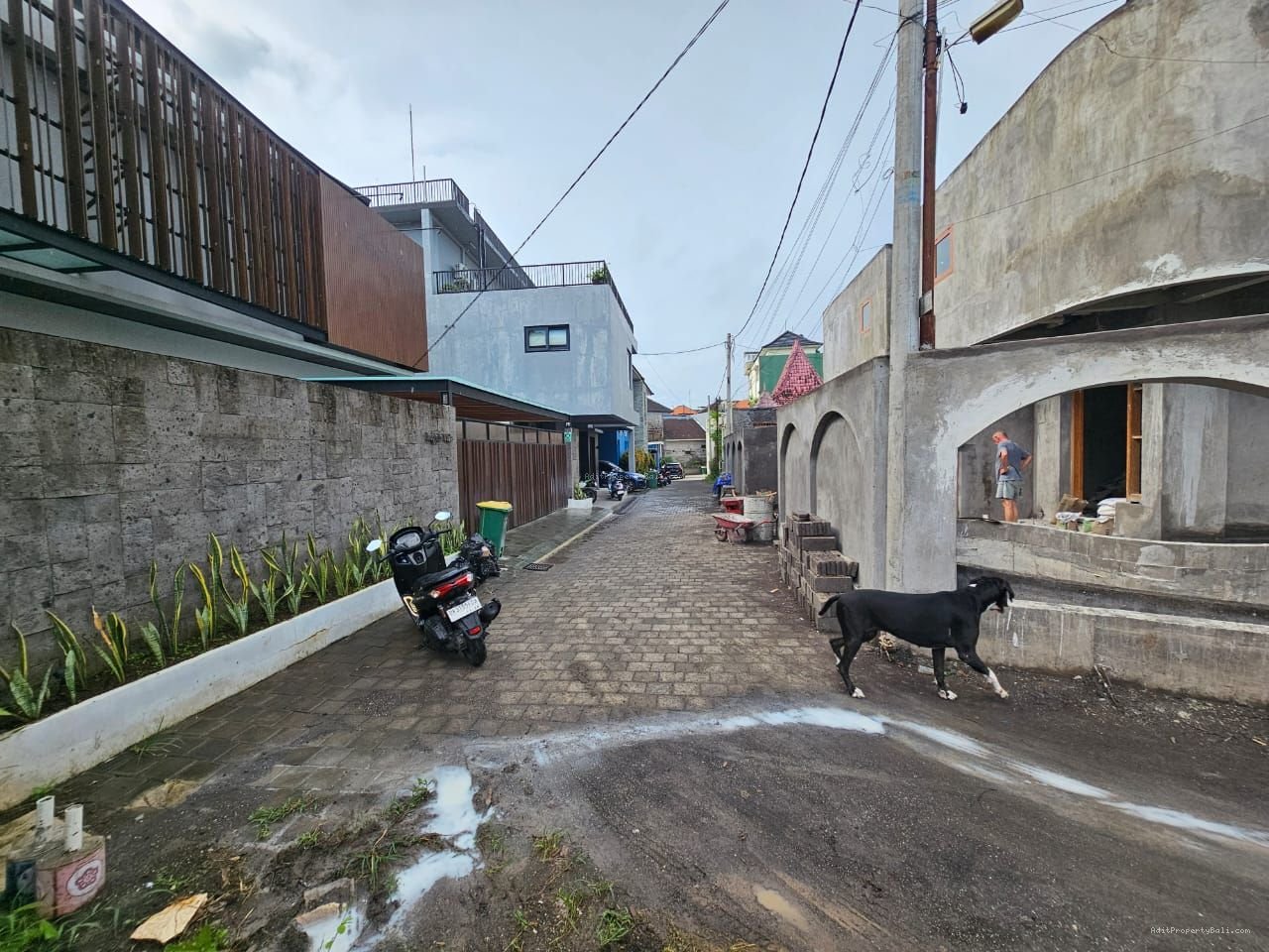 Tanah murah semat berawa canggu