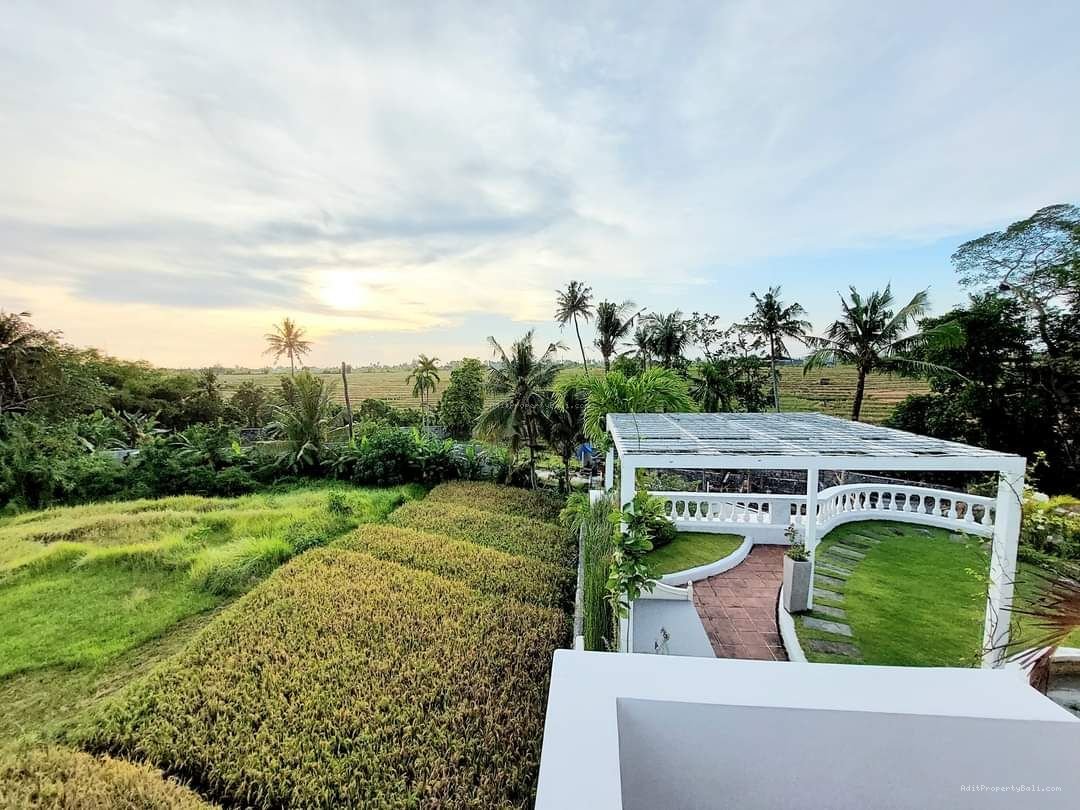 Villa View Sawah Pererenan Canggu Kuta Utara Badung