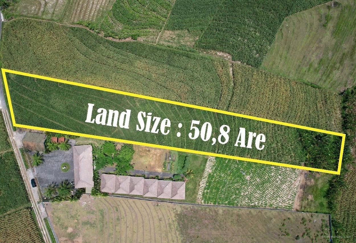 Tanah pantai kelecung tabanan bali